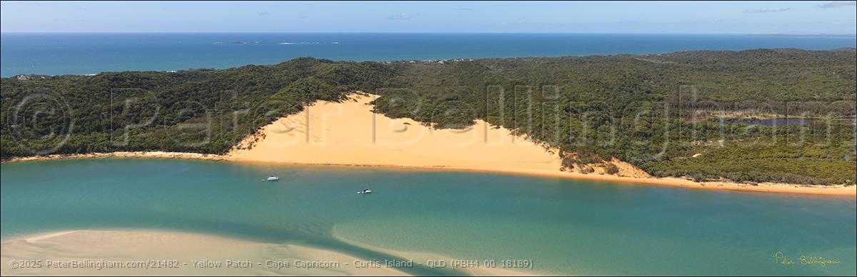 Peter Bellingham Photography Yellow Patch - Cape Capricorn - Curtis Island - QLD (PBH4 00 18189)